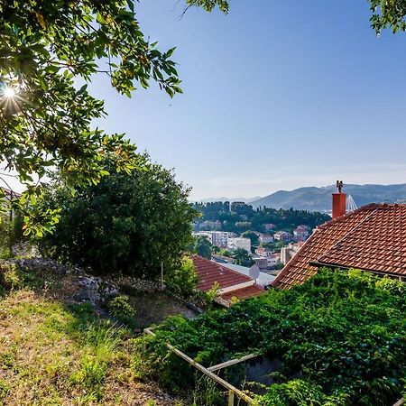 Apartment Amigo Dubrownik Zewnętrze zdjęcie